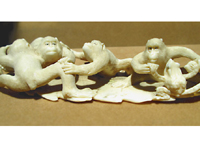 monkeys